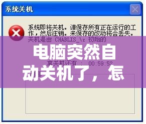 深度解析：非人哉王牌员工蛋黄还是五仁？ —— 从卓越工作表现看五仁月饼的意外走红