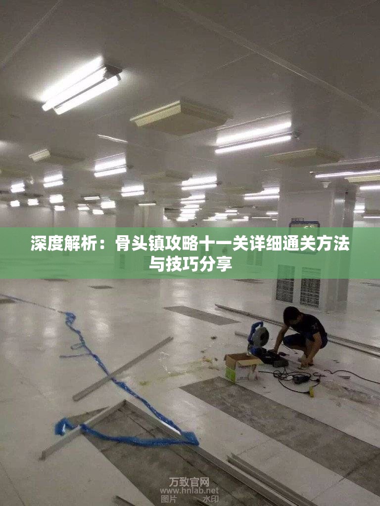 深度解析：骨头镇攻略十一关详细通关方法与技巧分享