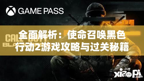 新澳最新版资料心水管家婆,实时更新解释落实_GX.0.818