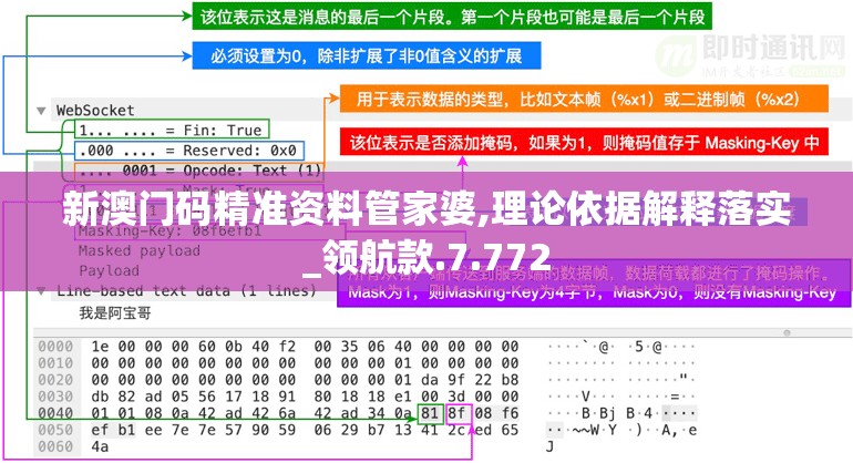 新澳门码精准资料管家婆,理论依据解释落实_领航款.7.772