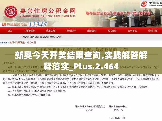 新奥今天开奖结果查询,实践解答解释落实_Plus.2.464