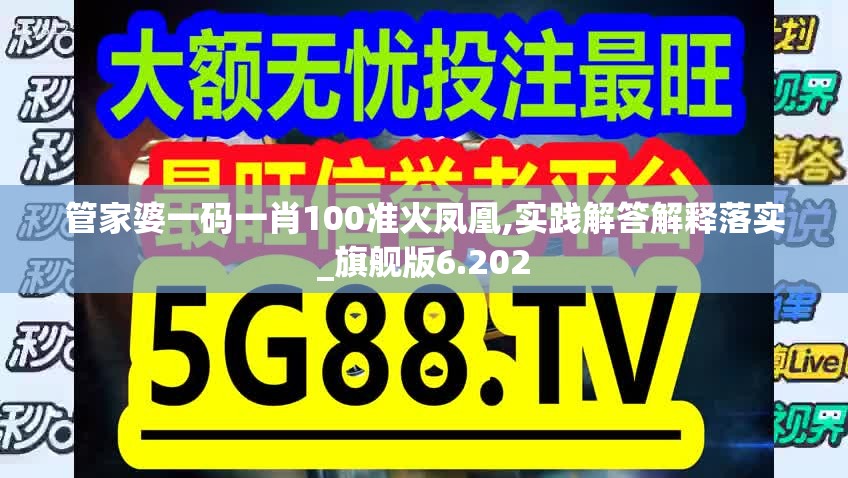 管家婆一码一肖100准火凤凰,实践解答解释落实_旗舰版6.202