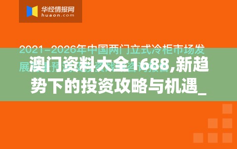 屹立不倒的保卫战：以城墙不能倒攻略为主题，探索古城墙保护与现代化融合之道