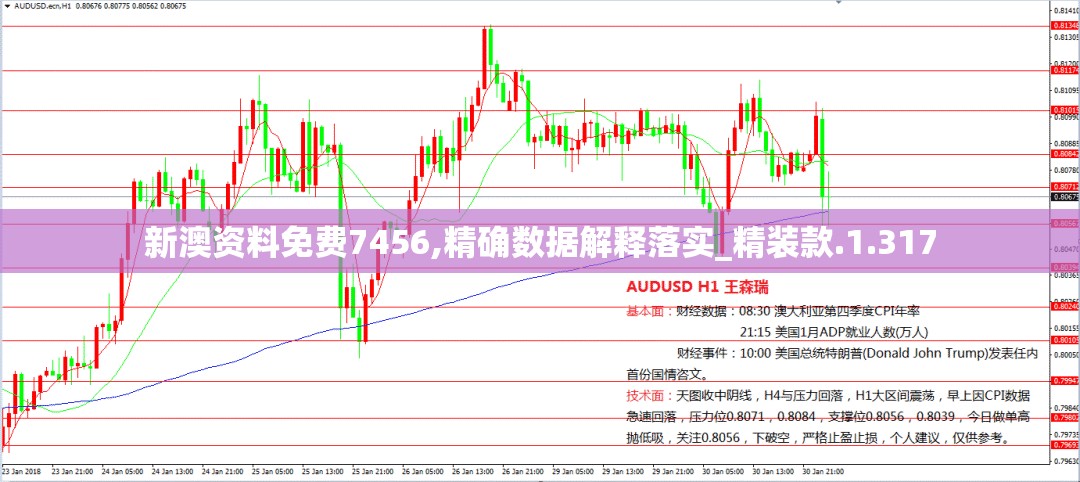 新澳资料免费7456,精确数据解释落实_精装款.1.317