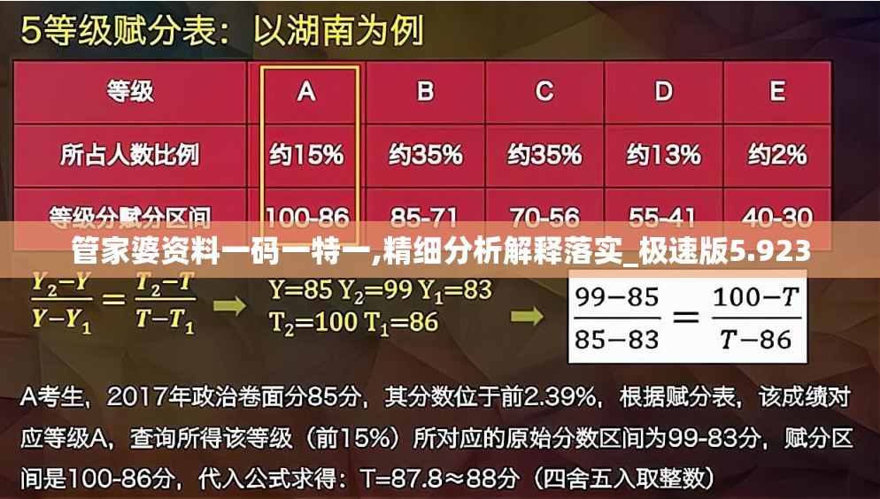 管家婆资料一码一特一,精细分析解释落实_极速版5.923