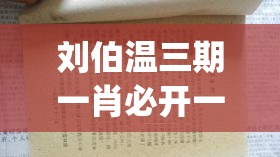 2024年澳门精准正版资料|全面分析解释落实_冒险版THE.2.953