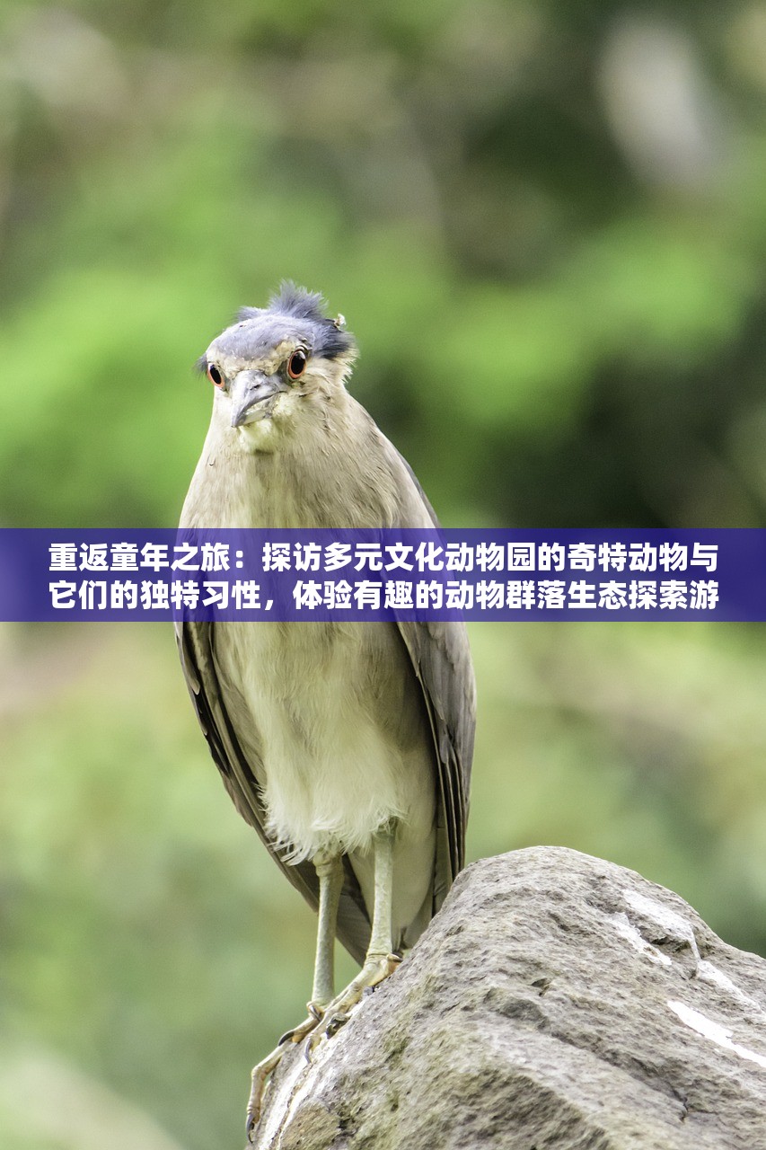 (整容游戏 快看)快看整容游戏：化身美妆大师，体验前所未有的变身之旅