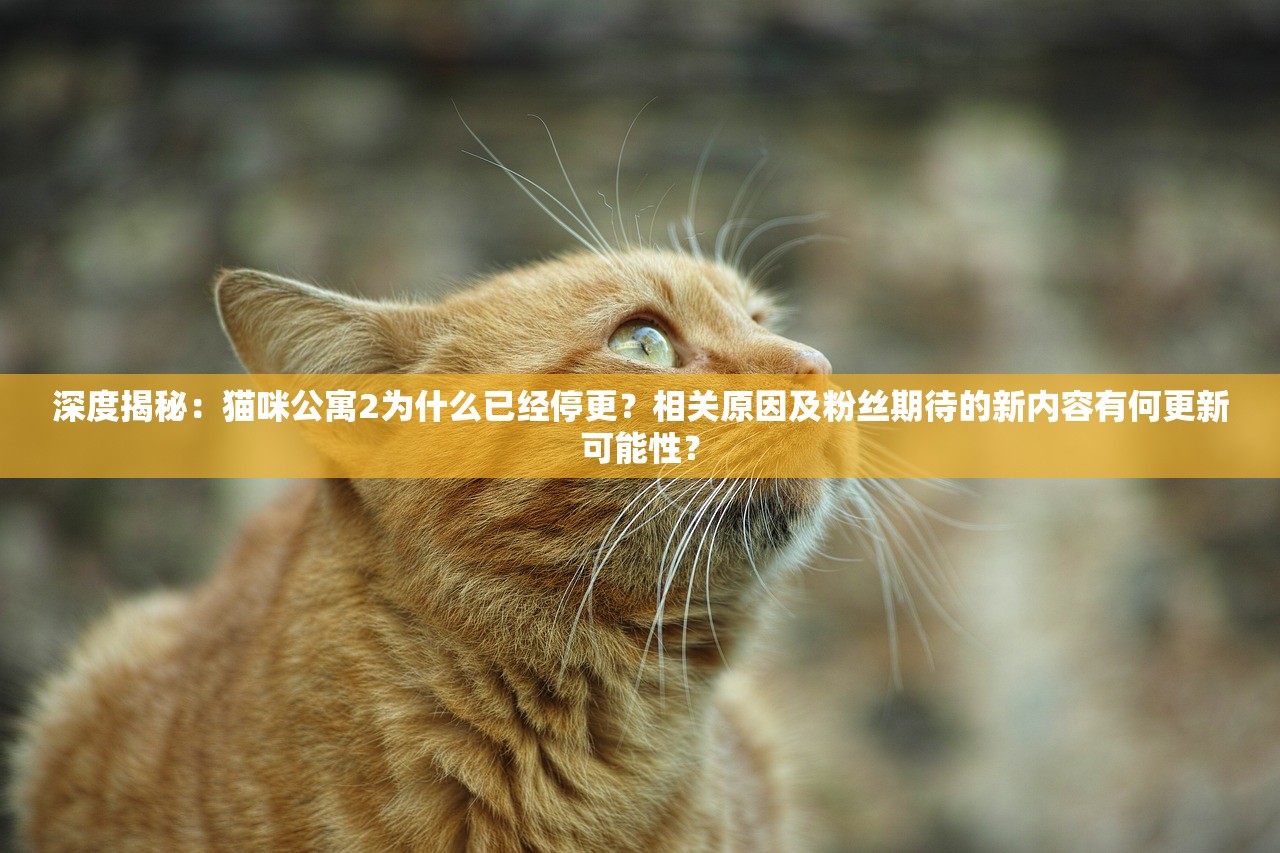 深度揭秘：猫咪公寓2为什么已经停更？相关原因及粉丝期待的新内容有何更新可能性？