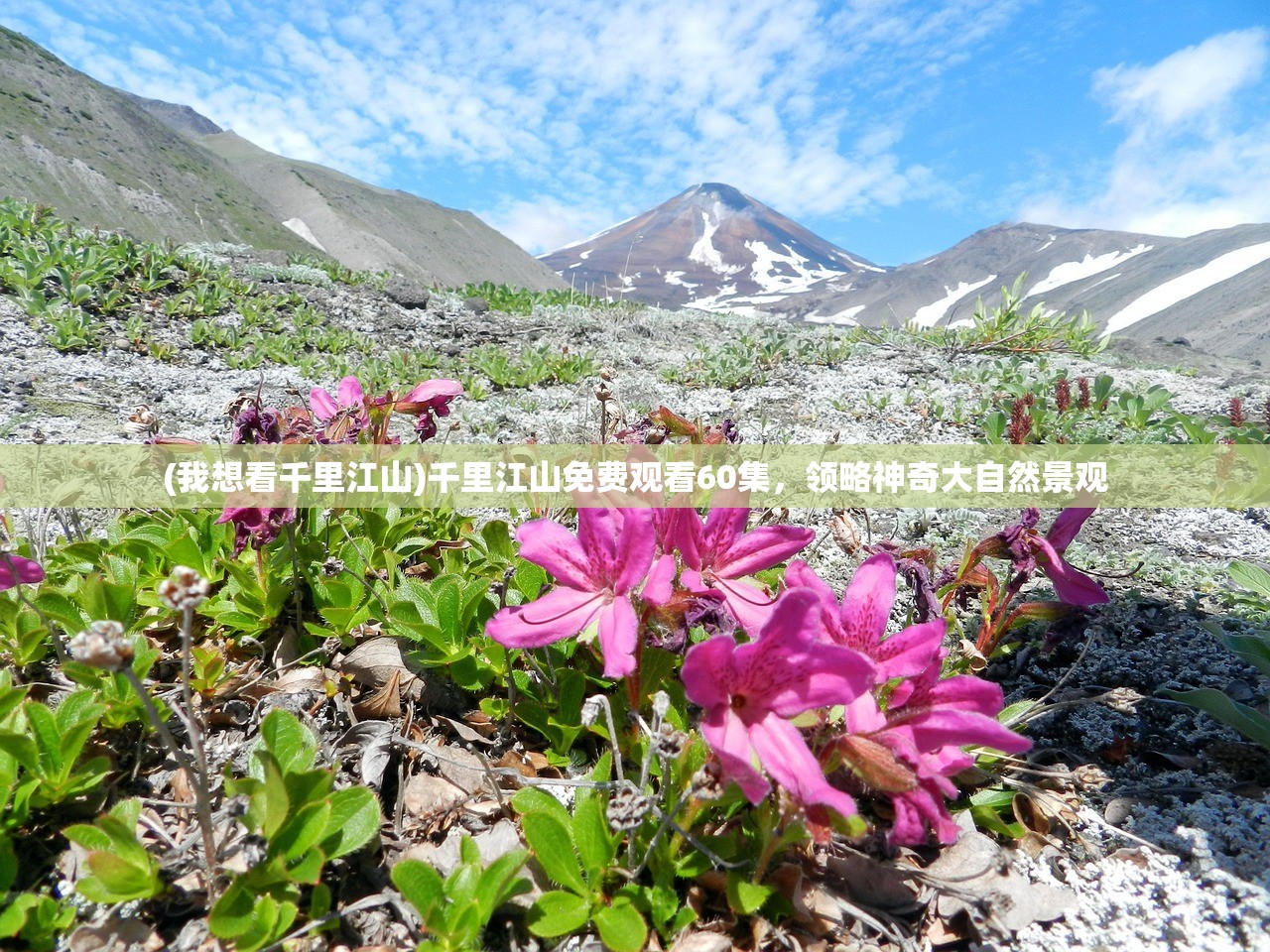 (我想看千里江山)千里江山免费观看60集，领略神奇大自然景观