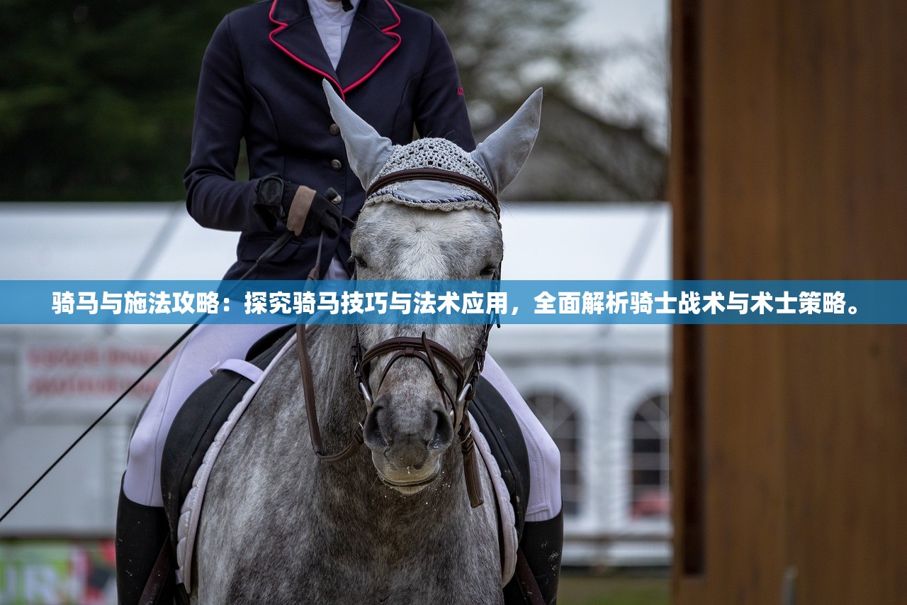 骑马与施法攻略：探究骑马技巧与法术应用，全面解析骑士战术与术士策略。