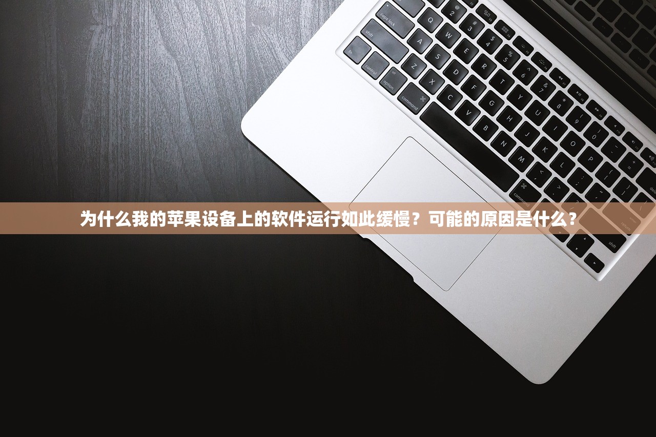 为什么我的苹果设备上的软件运行如此缓慢？可能的原因是什么？