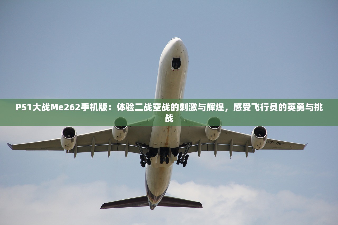 P51大战Me262手机版：体验二战空战的刺激与辉煌，感受飞行员的英勇与挑战