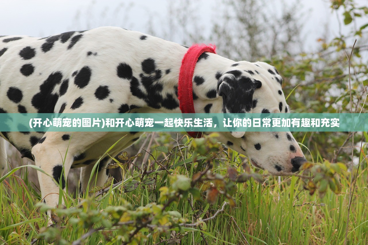 (花舞蝶衣app下载)花舞蝶衣游戏：穿越唐朝，探索古城之谜，与蝶舞共游迷人世界