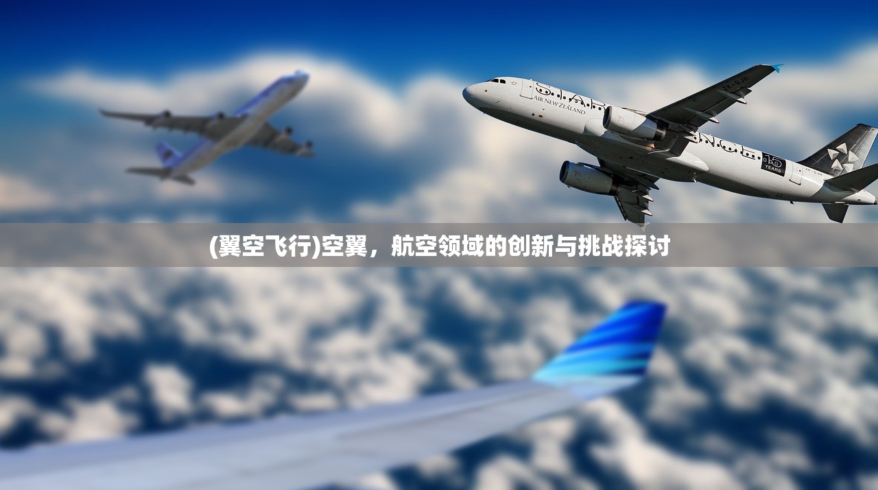 (翼空飞行)空翼，航空领域的创新与挑战探讨