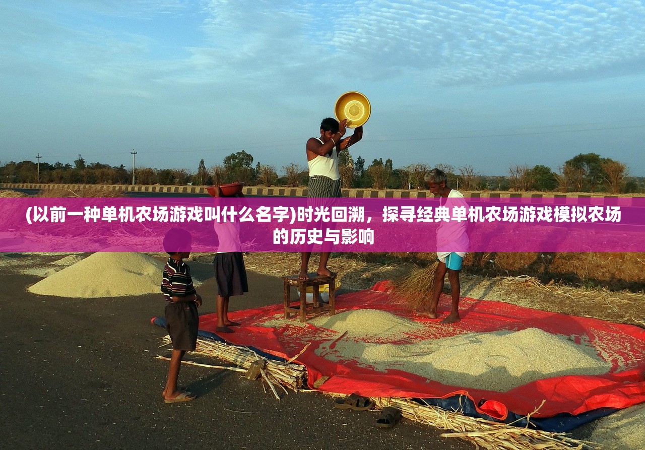 (以前一种单机农场游戏叫什么名字)时光回溯，探寻经典单机农场游戏模拟农场的历史与影响