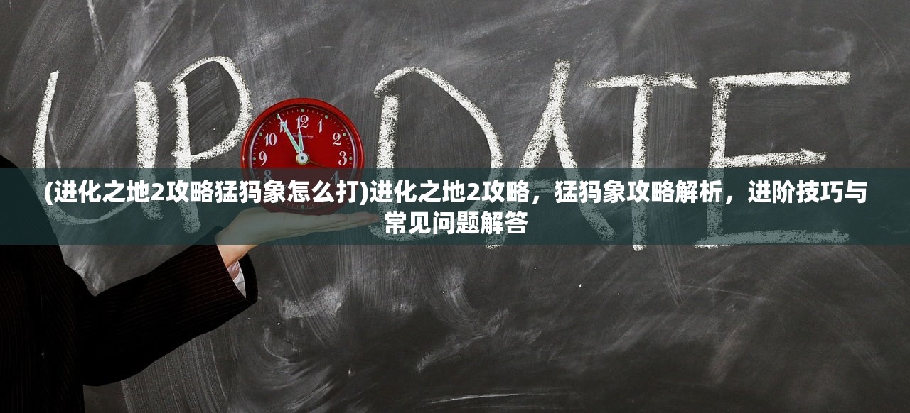 (通达信炒股软件从入门到精通)深度解析通达信炒股软件，功能全面，实用攻略与常见问题解答