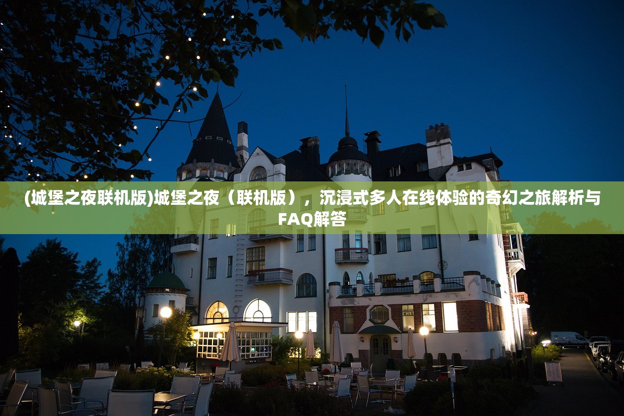 (城堡之夜联机版)城堡之夜（联机版），沉浸式多人在线体验的奇幻之旅解析与FAQ解答