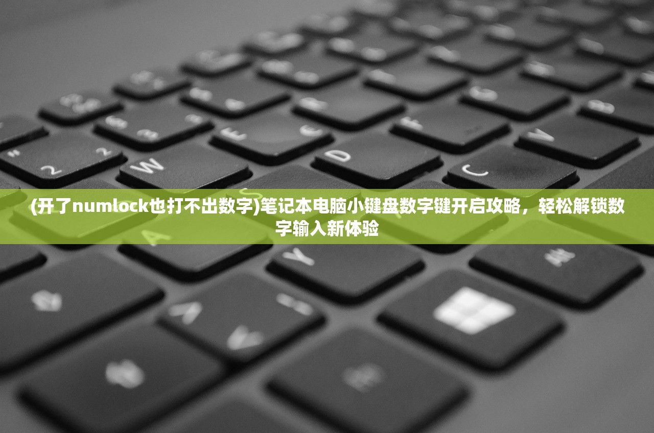 (开了numlock也打不出数字)笔记本电脑小键盘数字键开启攻略，轻松解锁数字输入新体验