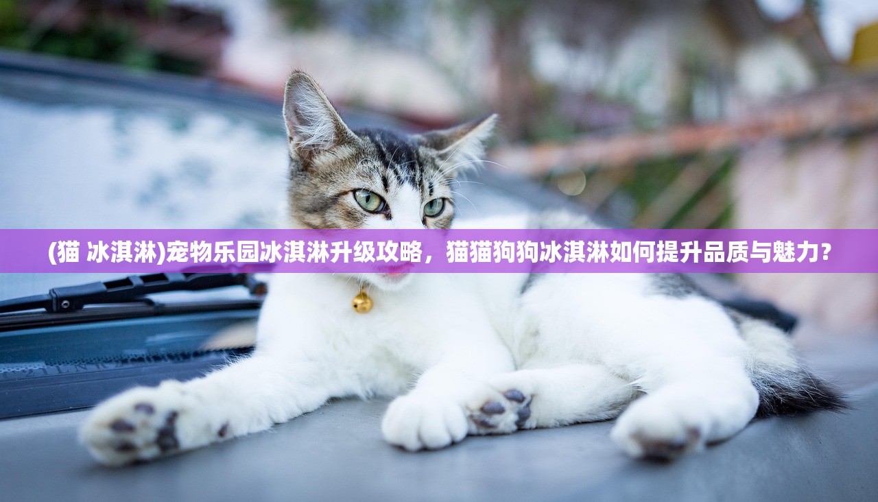 (猫 冰淇淋)宠物乐园冰淇淋升级攻略，猫猫狗狗冰淇淋如何提升品质与魅力？