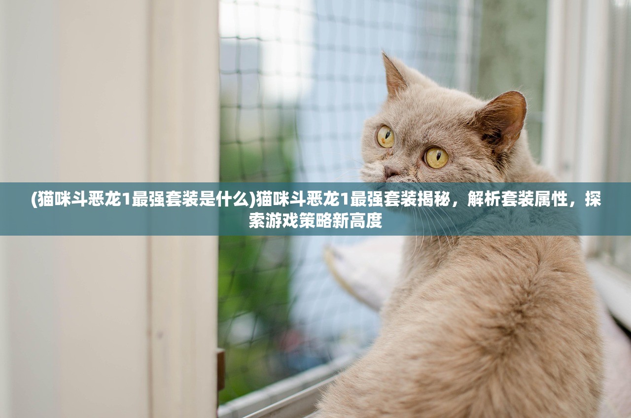 (猫咪斗恶龙1最强套装是什么)猫咪斗恶龙1最强套装揭秘，解析套装属性，探索游戏策略新高度