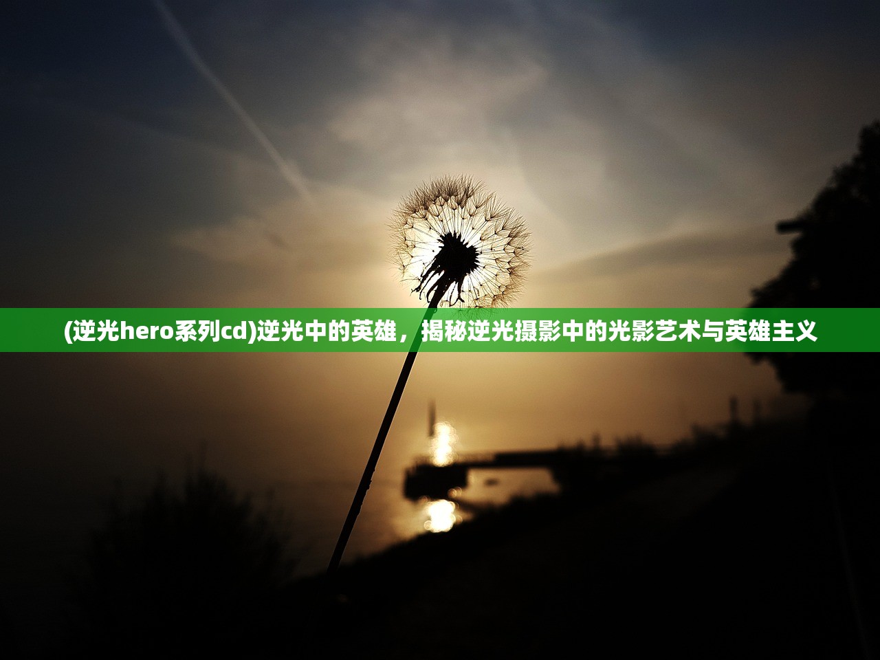 (逆光hero系列cd)逆光中的英雄，揭秘逆光摄影中的光影艺术与英雄主义