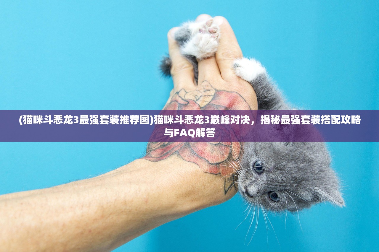 (猫咪斗恶龙3最强套装推荐图)猫咪斗恶龙3巅峰对决，揭秘最强套装搭配攻略与FAQ解答